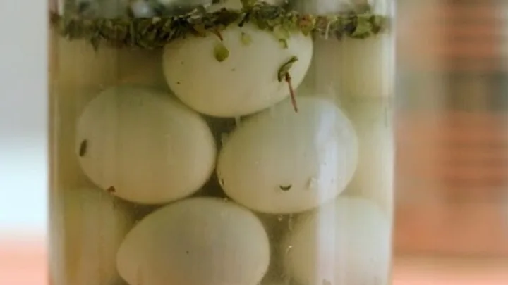 Receita de Ovos de Codorna em Conservas