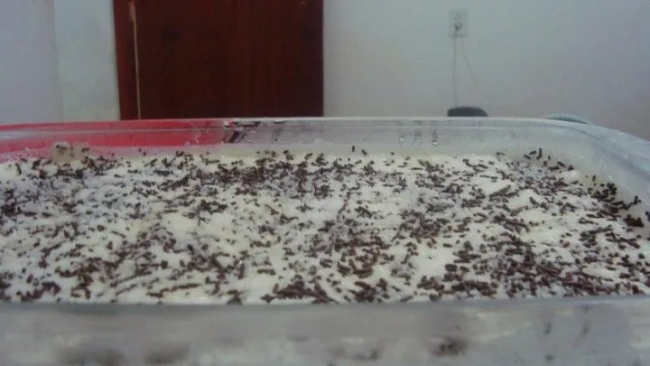 Receita de Pavê de Chocolate com Coco