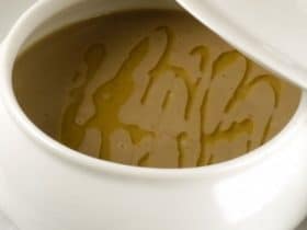 Receita de Sopa de Castanhas Portuguesas, enviada por Janaine Pina - Prazer à Mesa